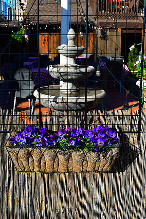 Flower Box