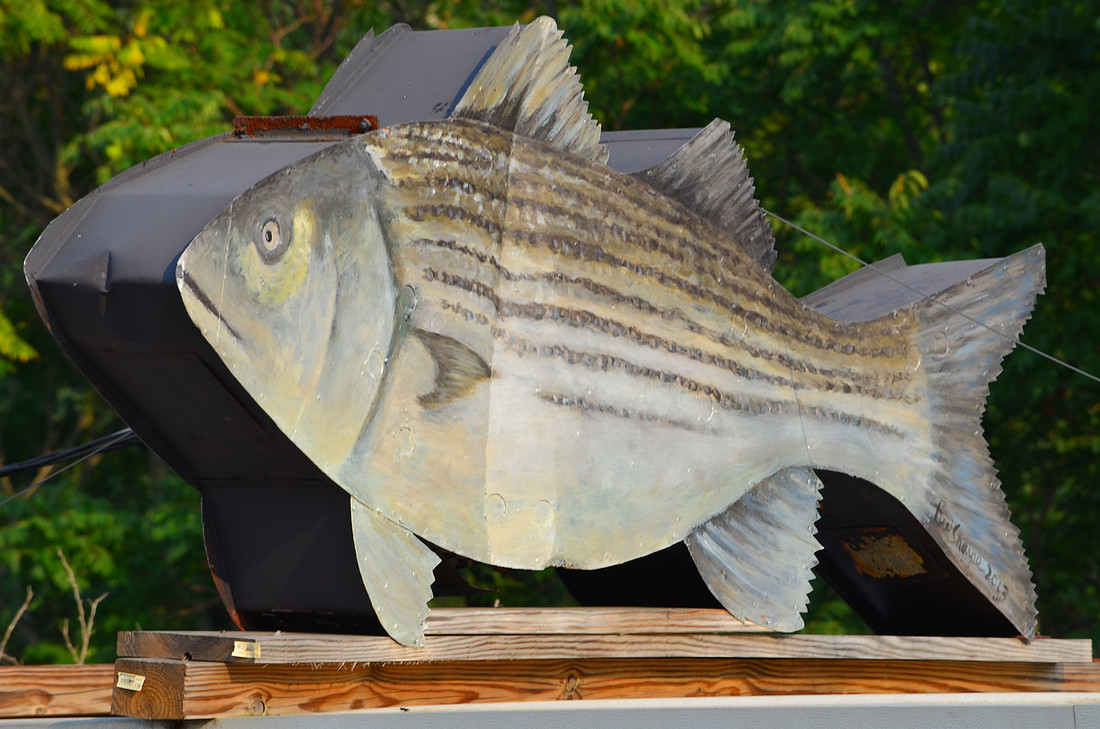 Fish