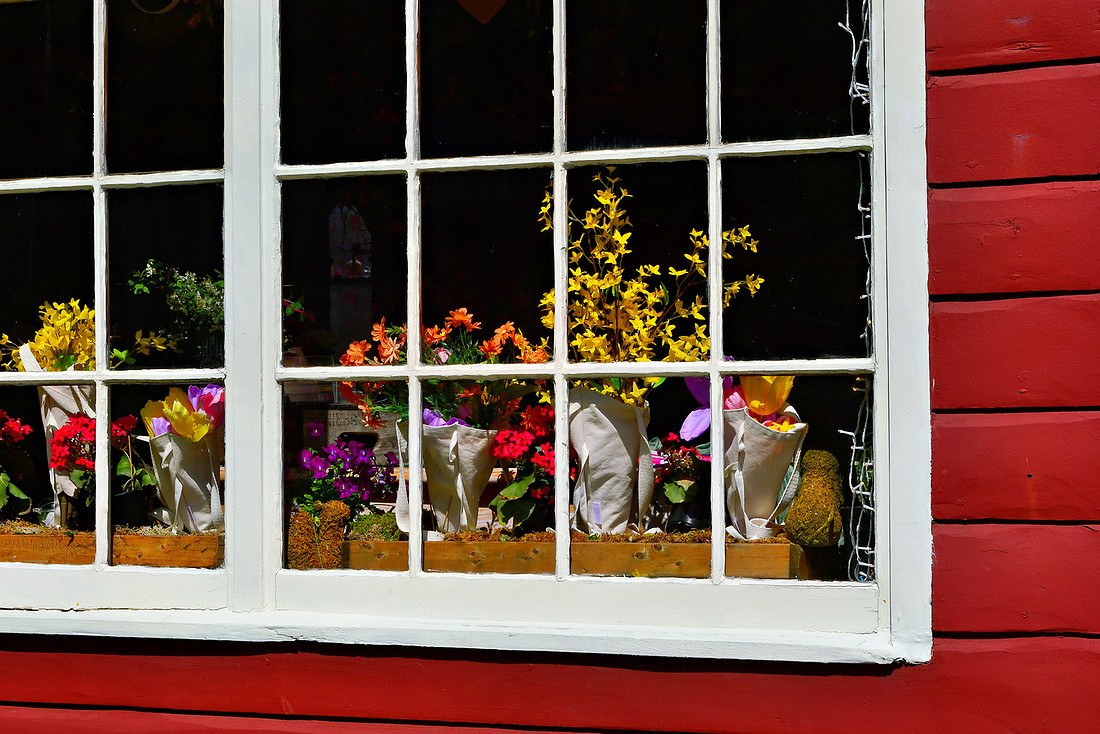 Spring Window