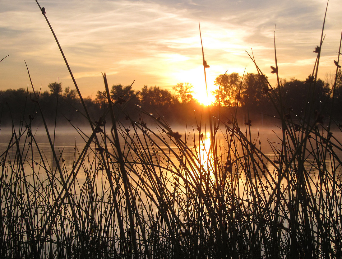 Misty