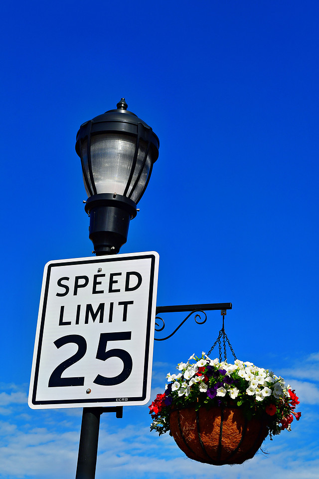 Fast Flowers
