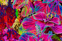 Abstract Fall