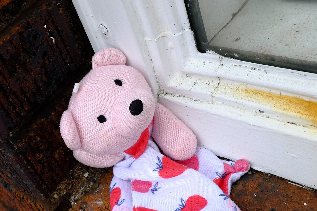Strawberry Bear