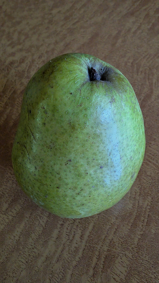 Pear