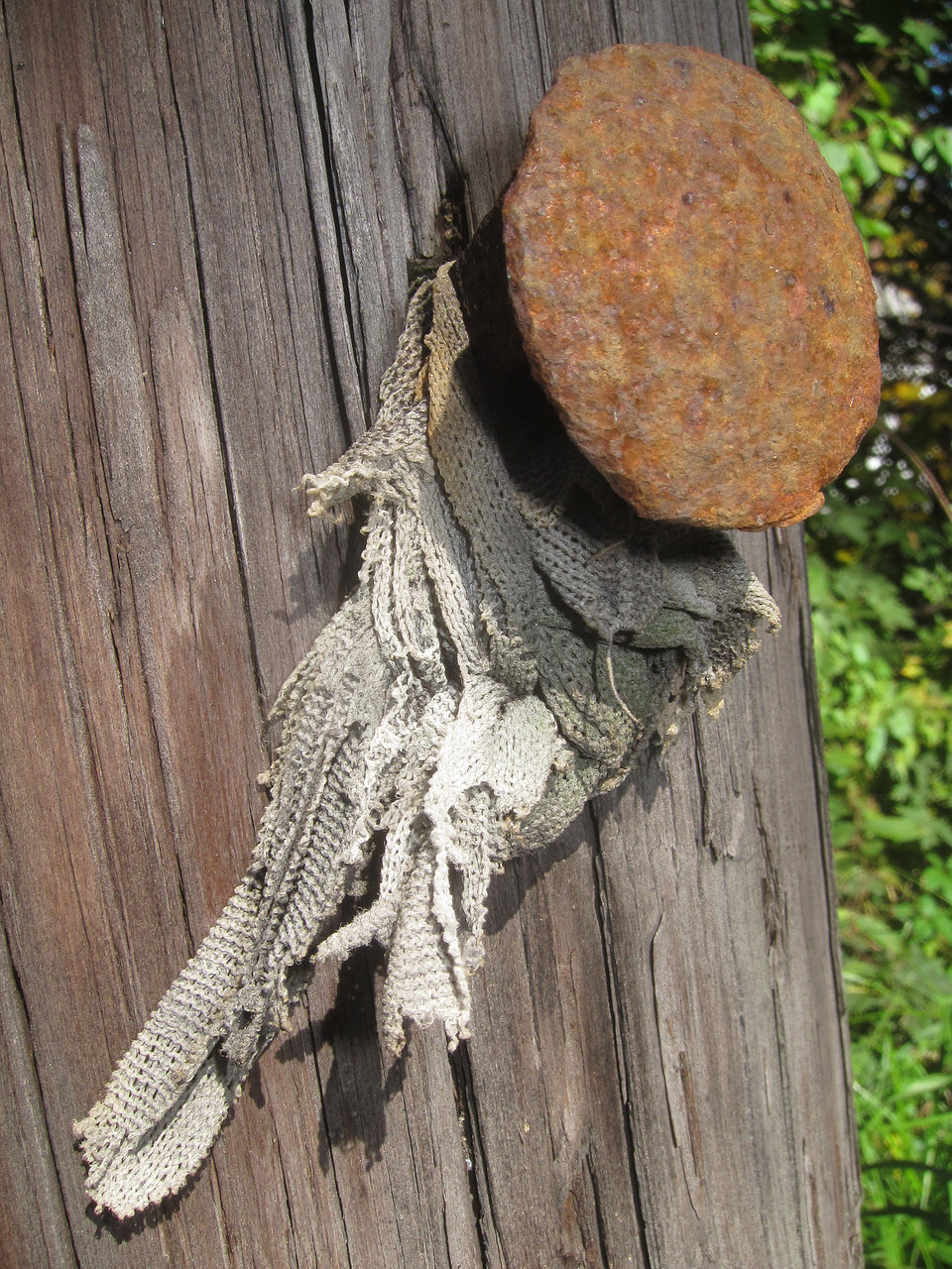Spike