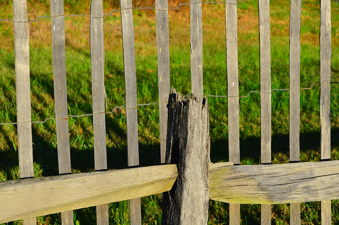 Fenced Fence