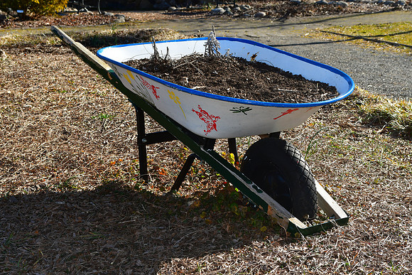 Ready to Plant