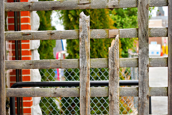 Broken Trellis