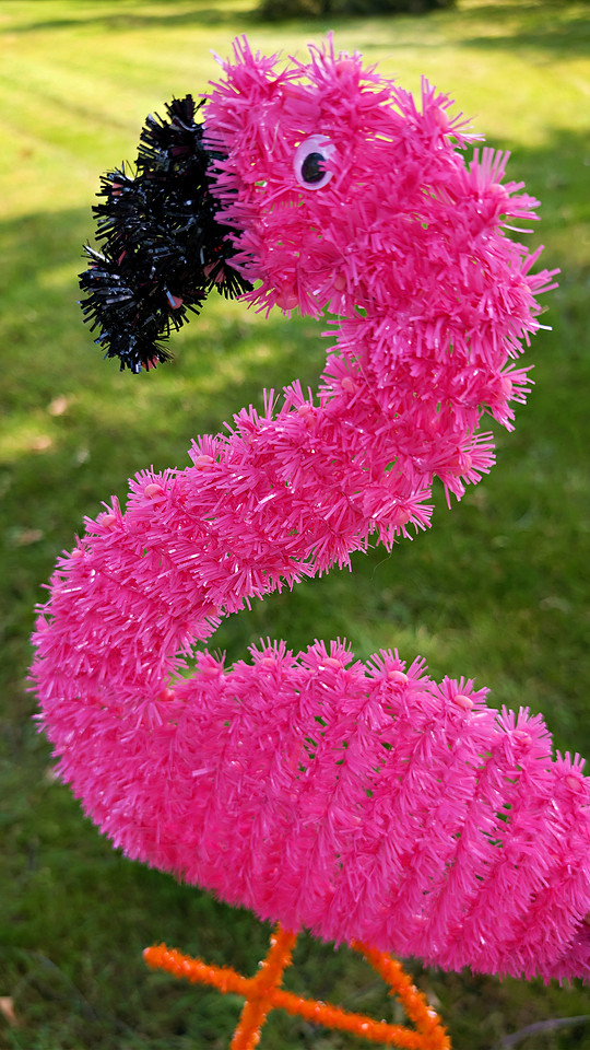 Fuzzy Flamingo