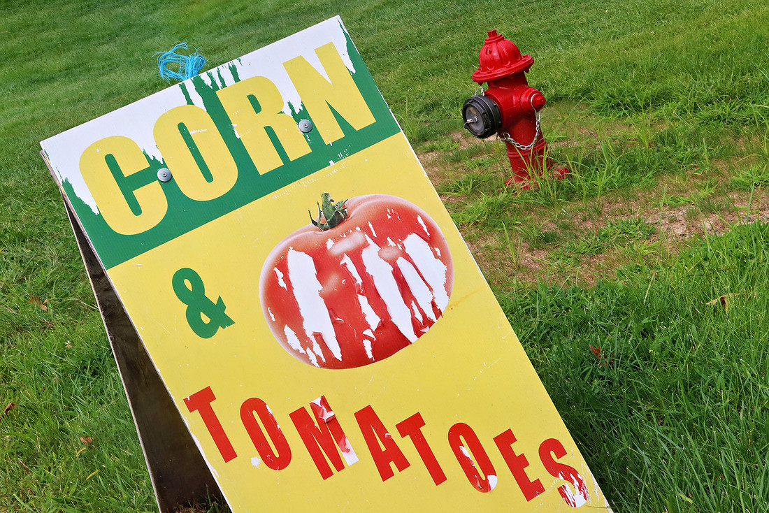 Corn & Tomatoes