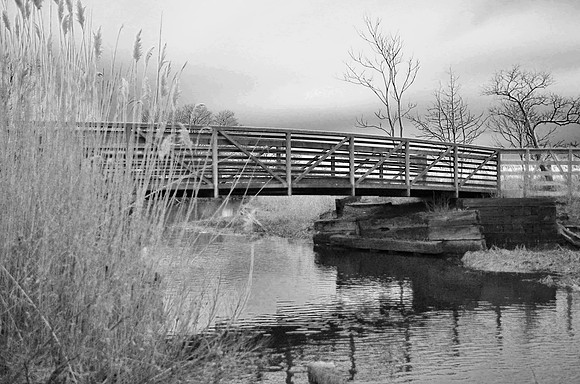Bike Bridge