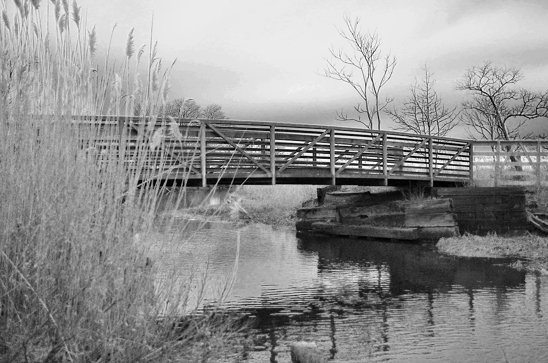 Bike Bridge