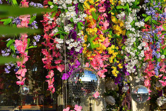 Disco Flowers