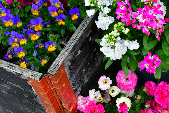 Flower Box