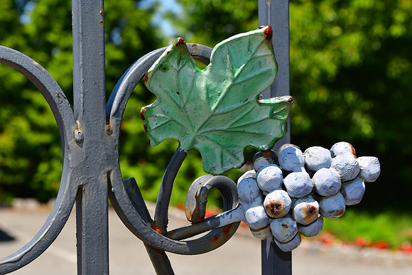 Rusty Grapes