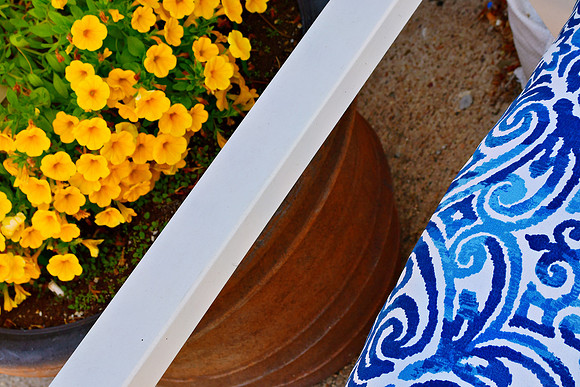 Flowers and Cushion