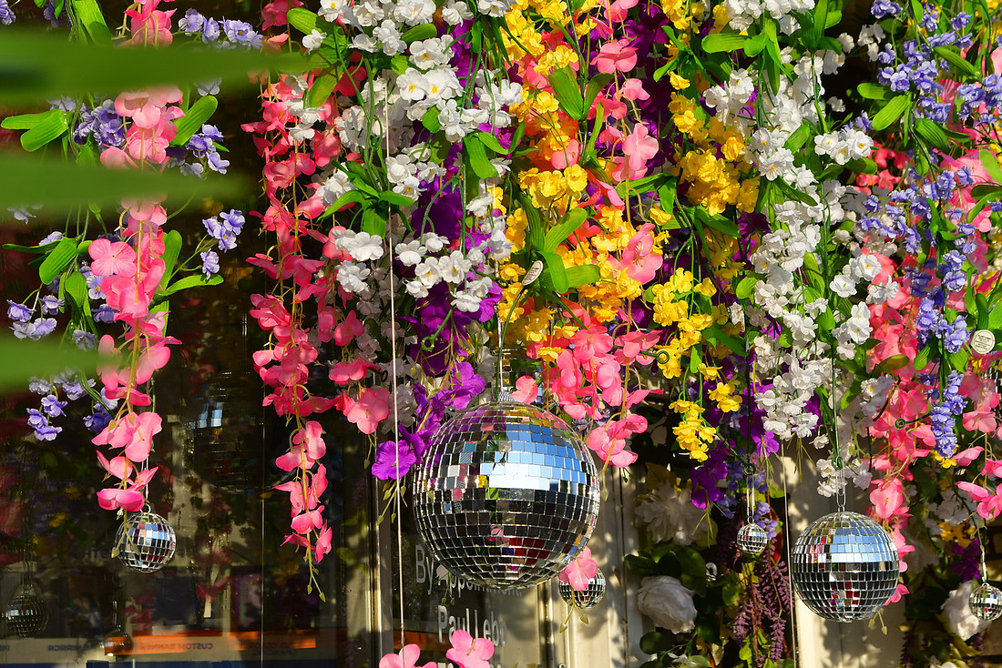 Disco Flowers