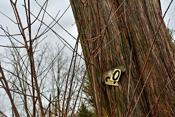 Twisted Thirty