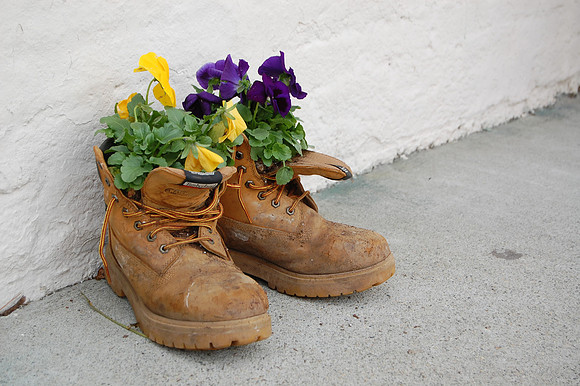 Spring