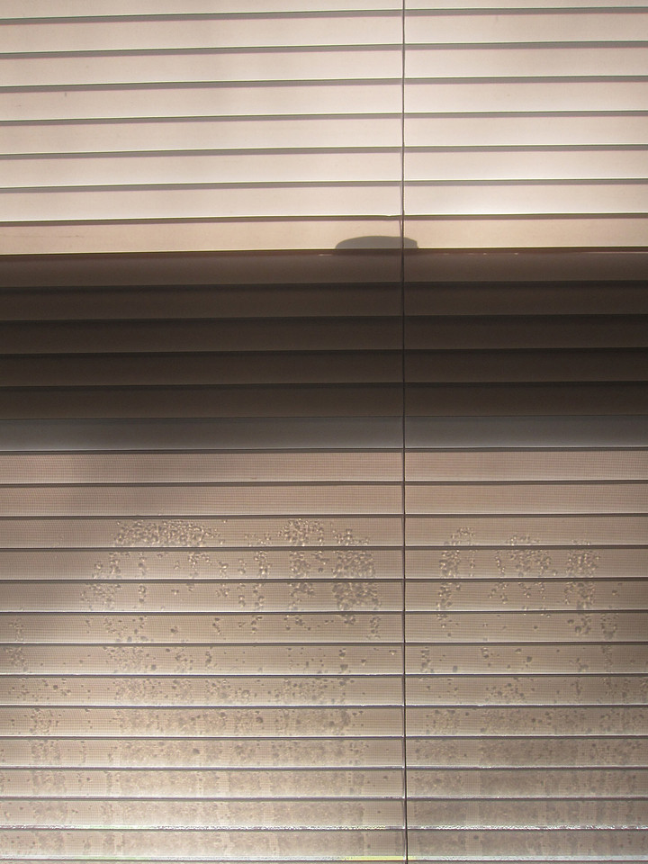 Morning Shadow