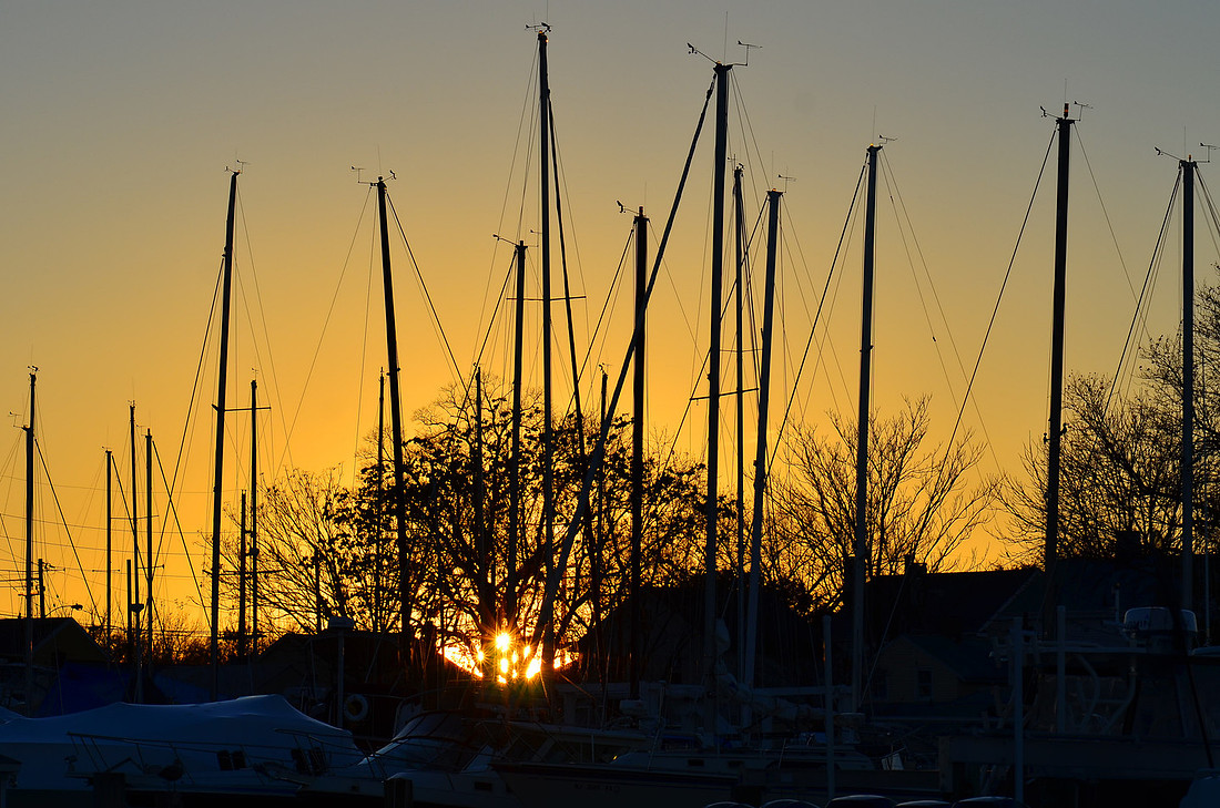 Sunset Sails
