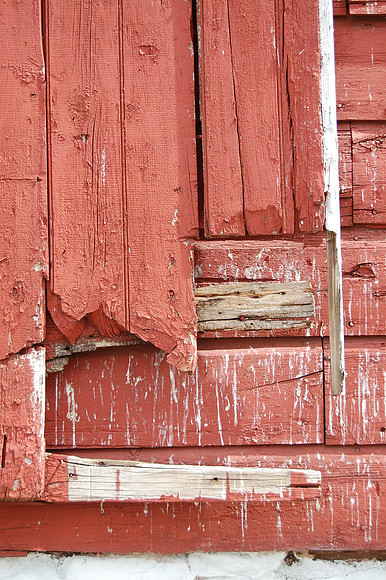 Wood