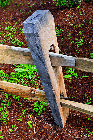 Spring Fence