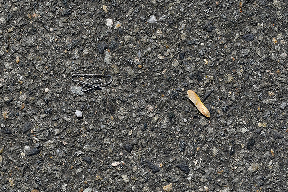 Clip and Leaf