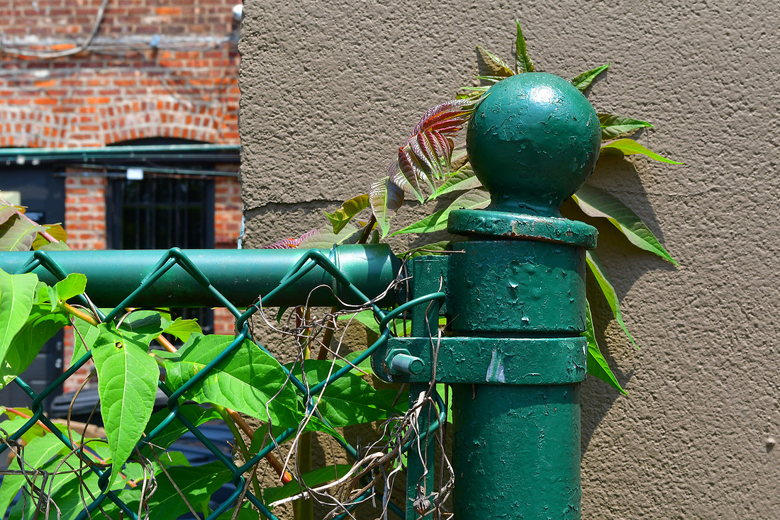 Green Fence