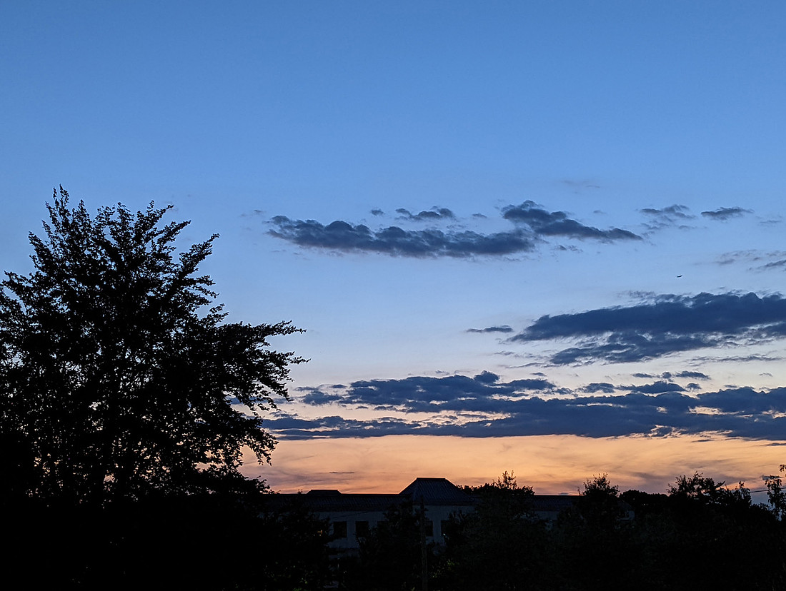 Sunset Tree