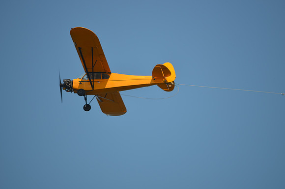 Cub