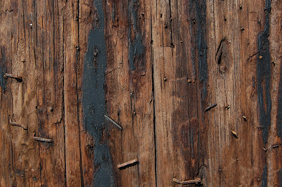 Pole