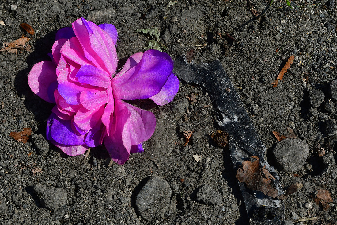 Forlorn Flowers