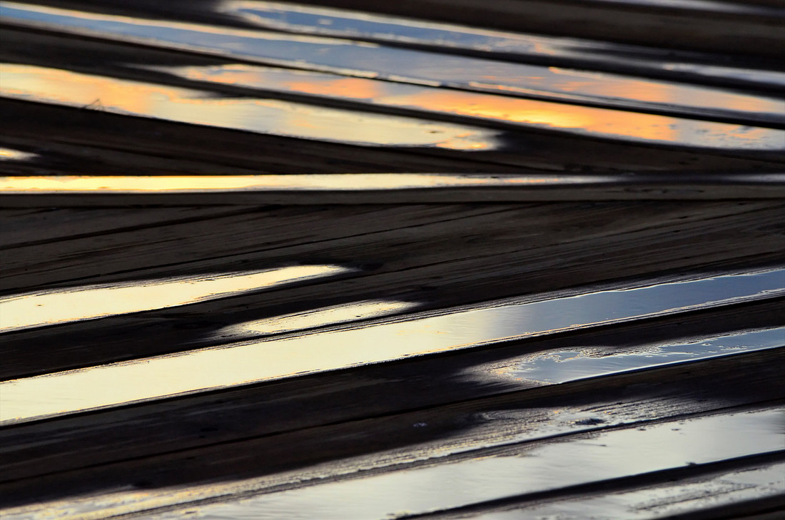 Wet Wood
