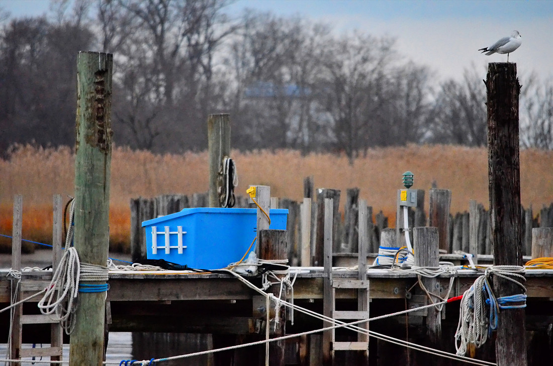 Blue Box