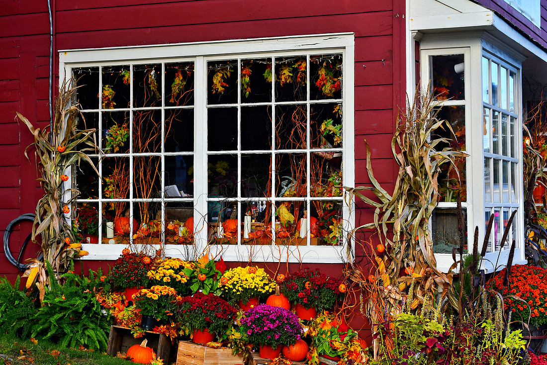 Fall Corner