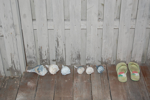 Fence 3