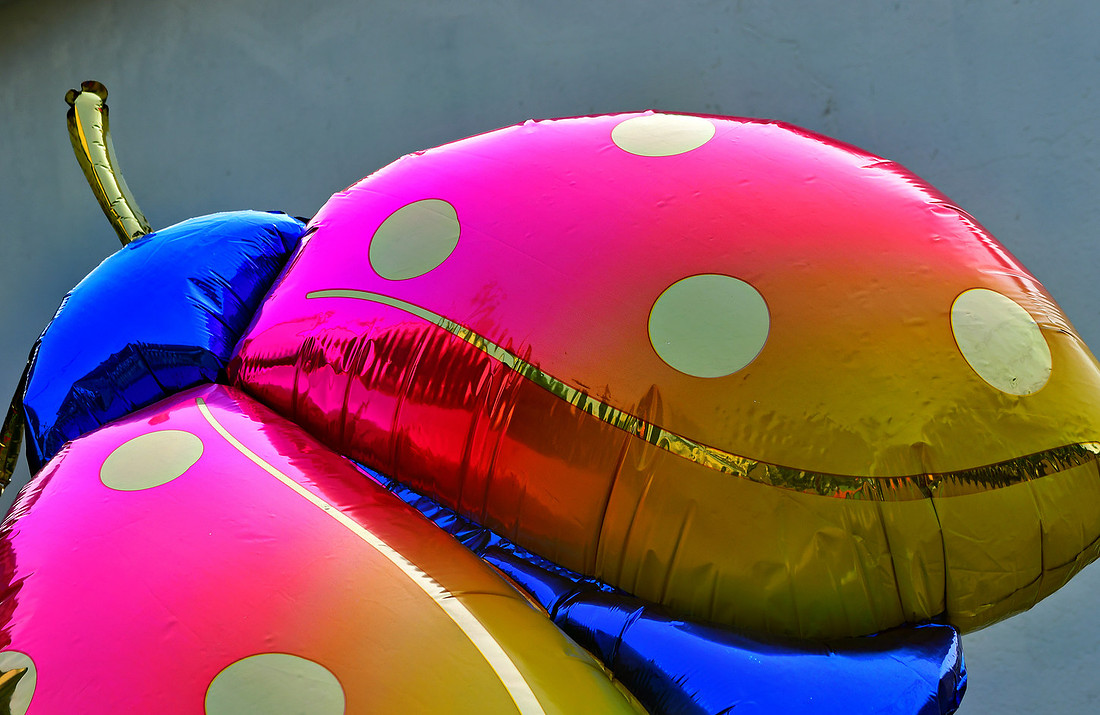 Balloon Beetle