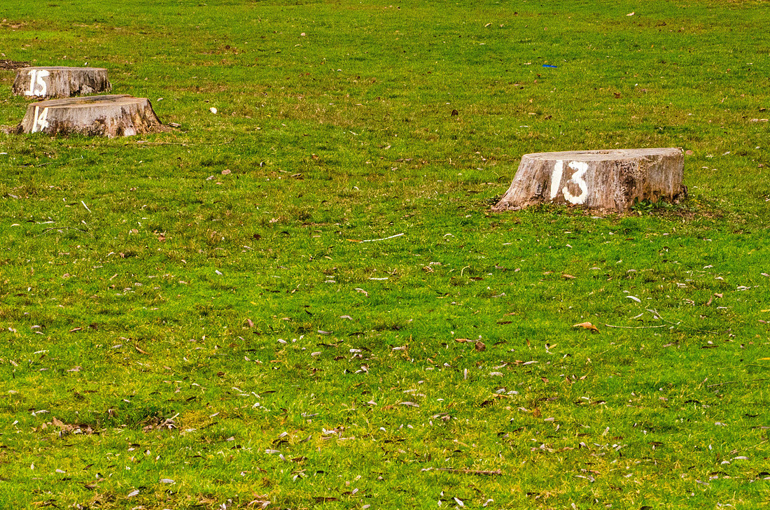 Stumps