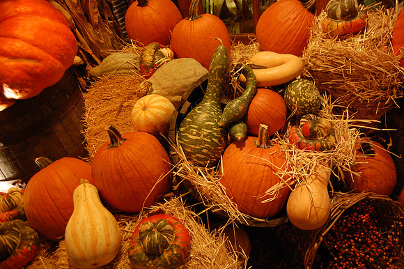 Pumpkin