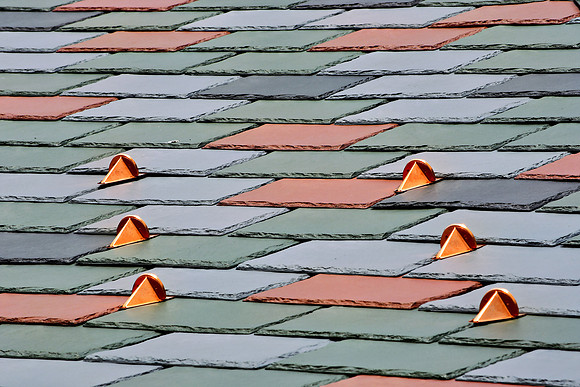 New Snow Guards