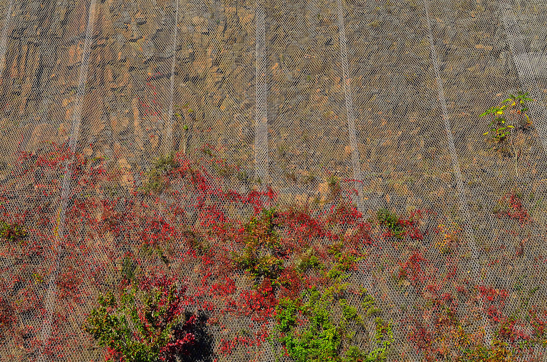 Climbing