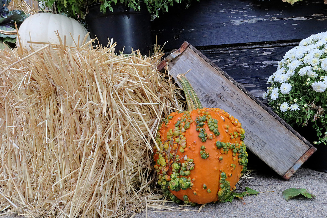 Fall Tableau
