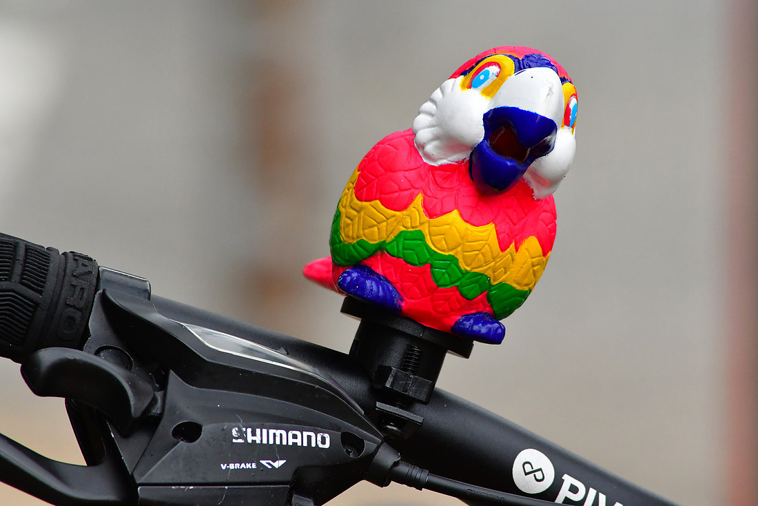 Handlebar Parrot