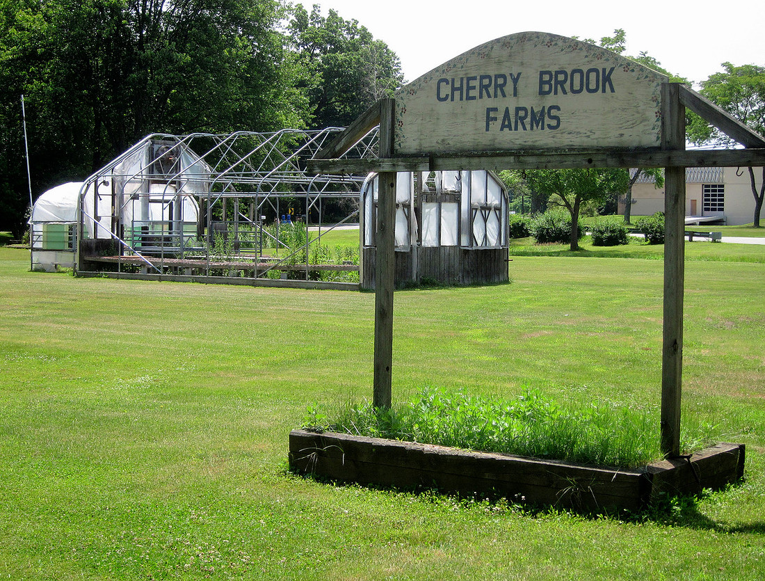 Cherry Brook
