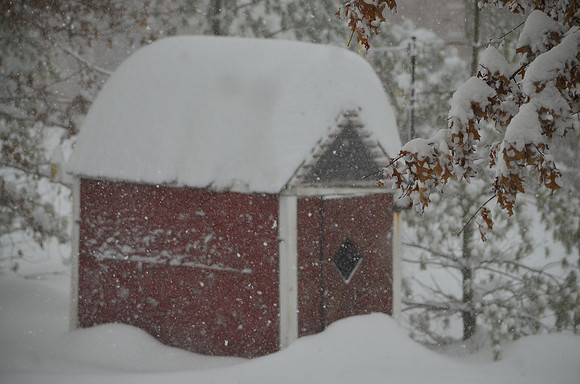 Snow Globe