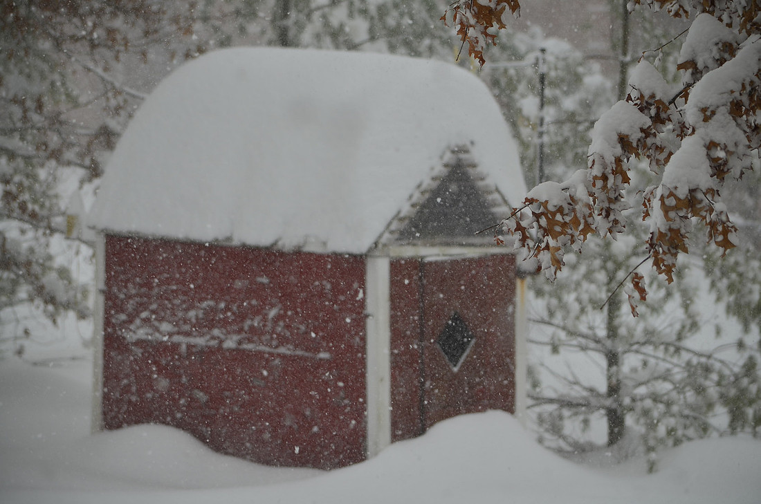 Snow Globe