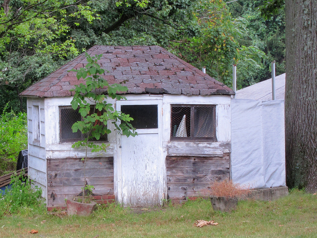 Shack