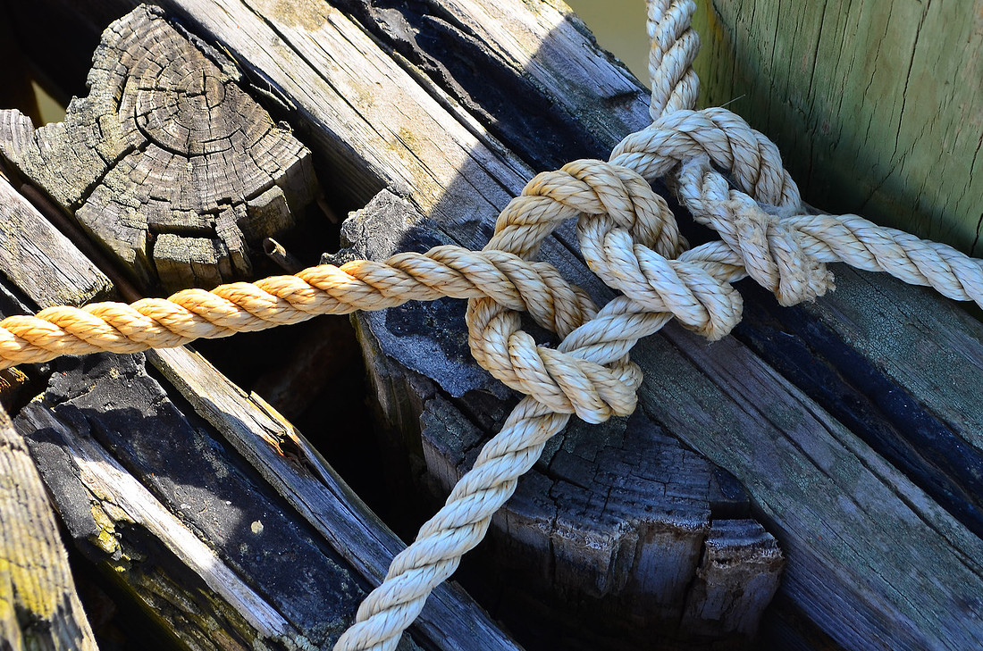 Shady Knot