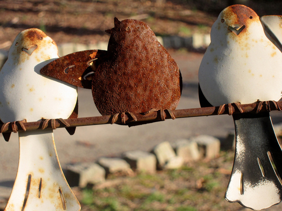 Rusty Birds